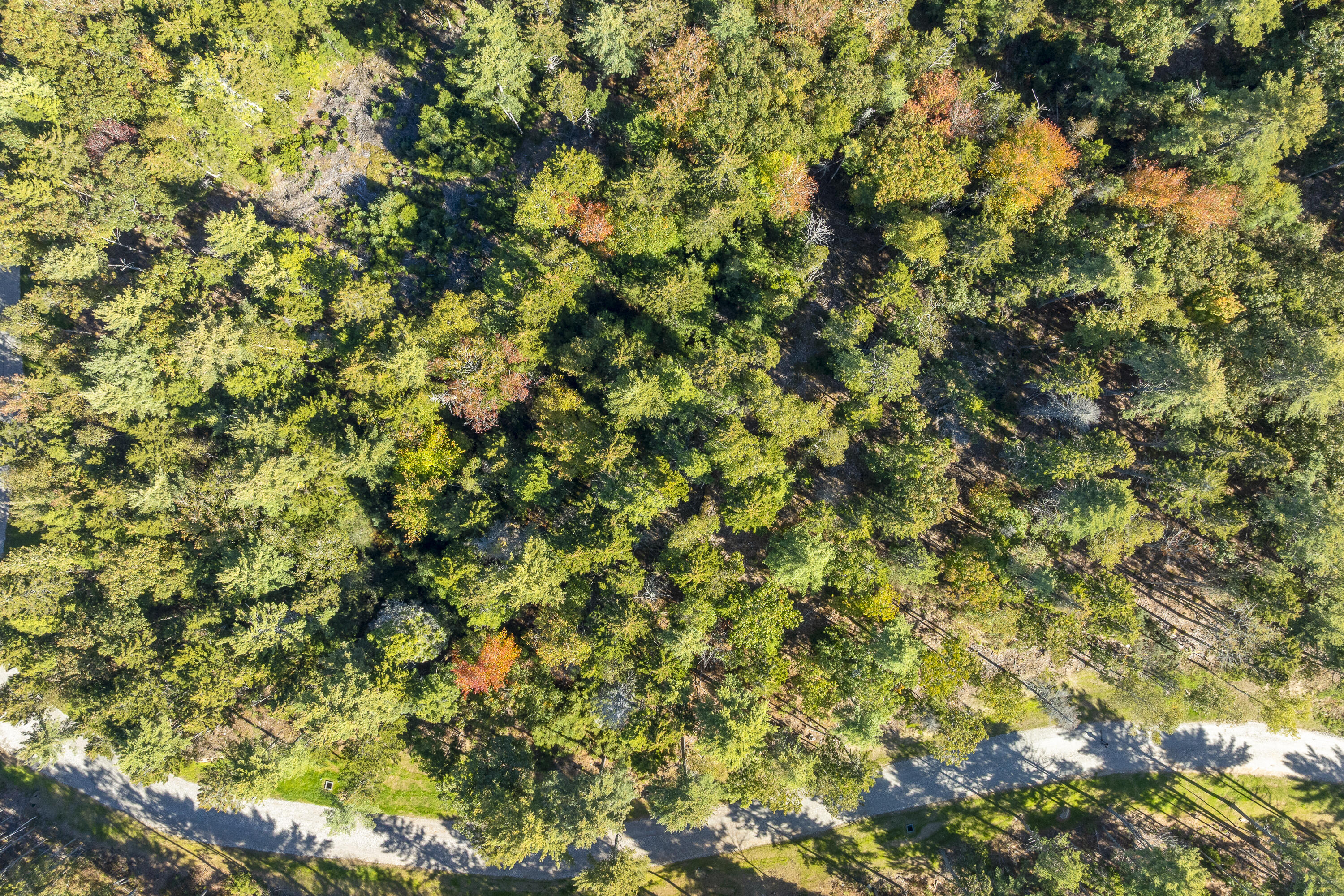 Lot 3-c Midden Ridge Road Boothbay ME 04537