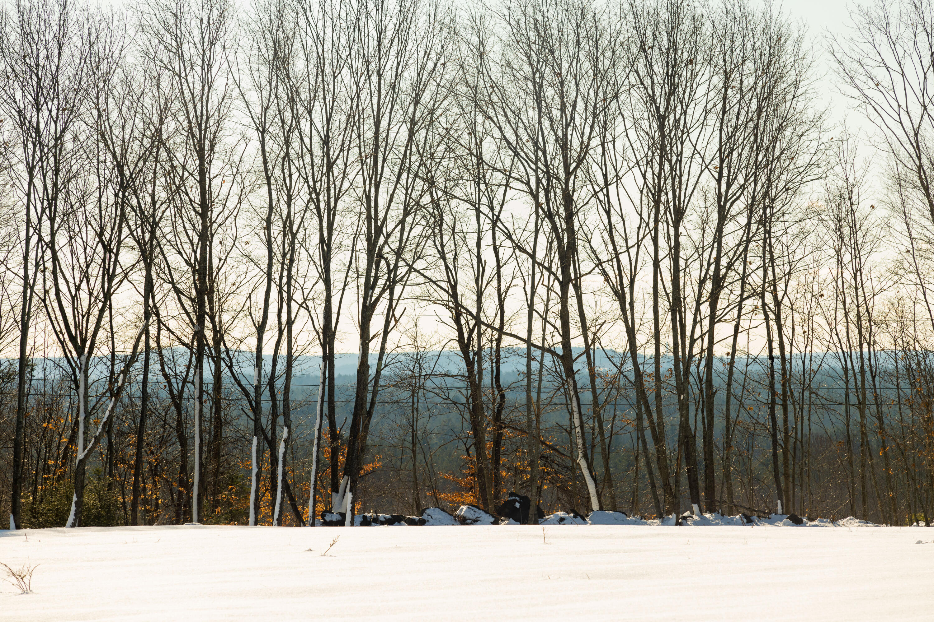 9 Durant Road Berwick ME 03901