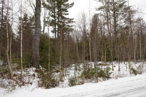 Lot 8 Kennel Brook Drive Lamoine ME 04605
