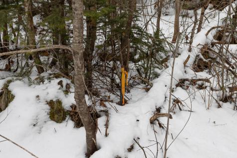 Lot 8 Kennel Brook Drive Lamoine ME 04605