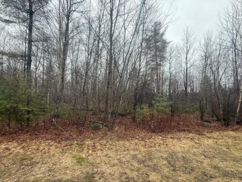 Lot #9 Ryder Drive Sidney ME 04330