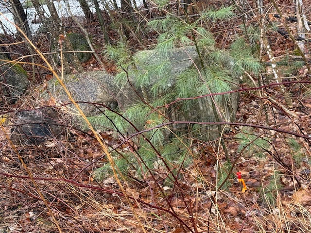 Lot #9 Ryder Drive Sidney ME 04330
