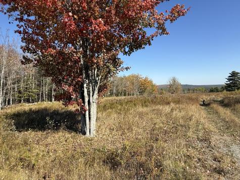 014-001 Tourtelotte Ridge Road Mariaville ME 04605