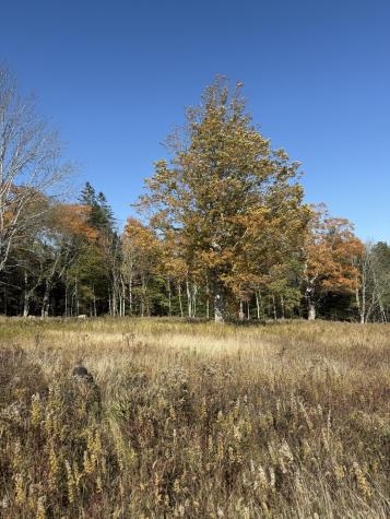 014-001 Tourtelotte Ridge Road Mariaville ME 04605