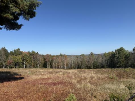 014-001 Tourtelotte Ridge Road Mariaville ME 04605