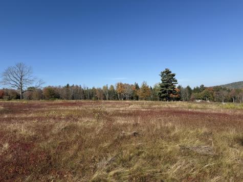 014-001 Tourtelotte Ridge Road Mariaville ME 04605