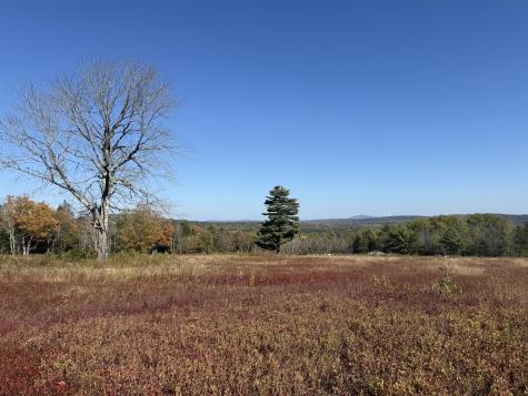 014-001 Tourtelotte Ridge Road Mariaville ME 04605