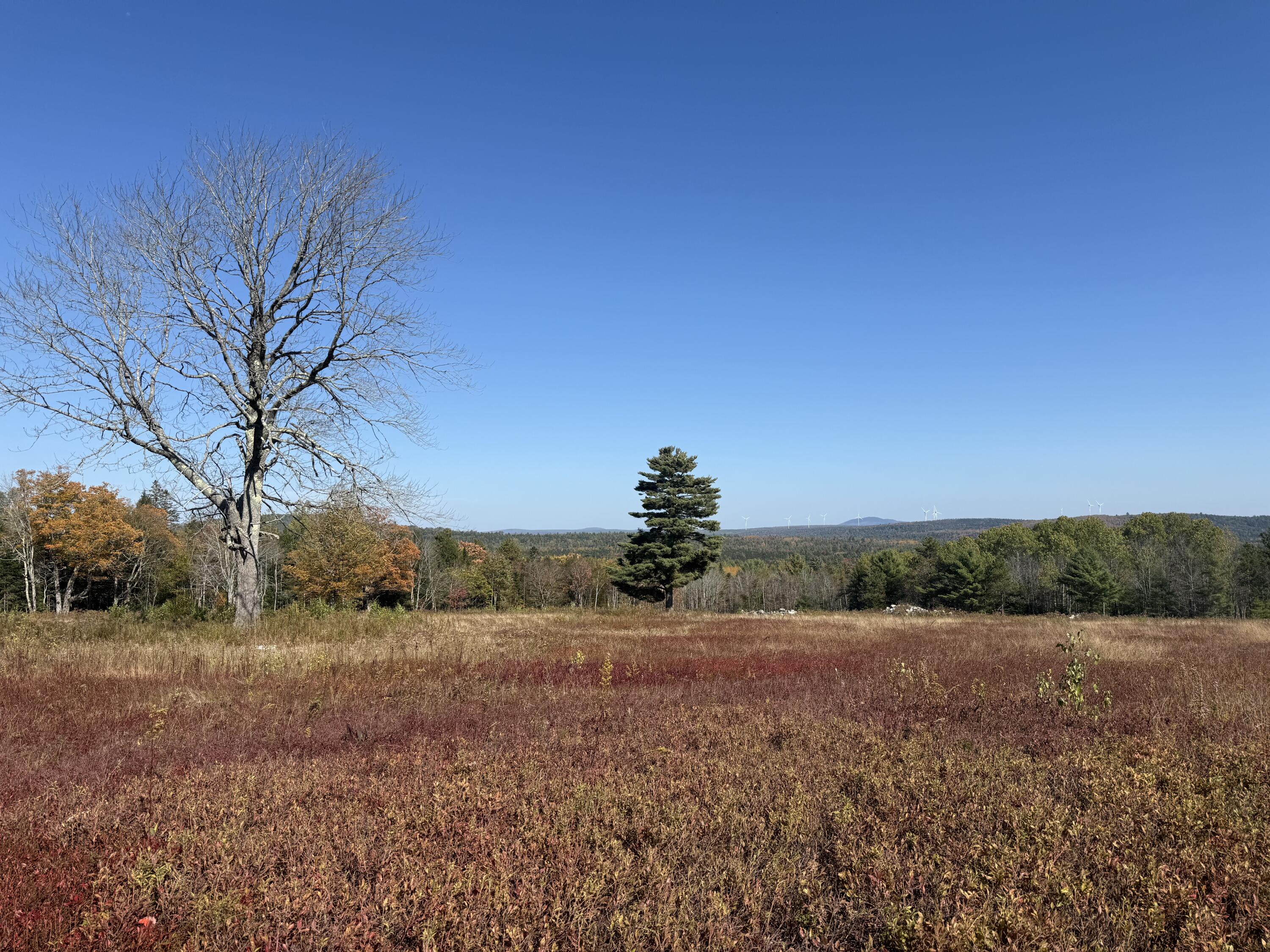014-001 Tourtelotte Ridge Road Mariaville ME 04605