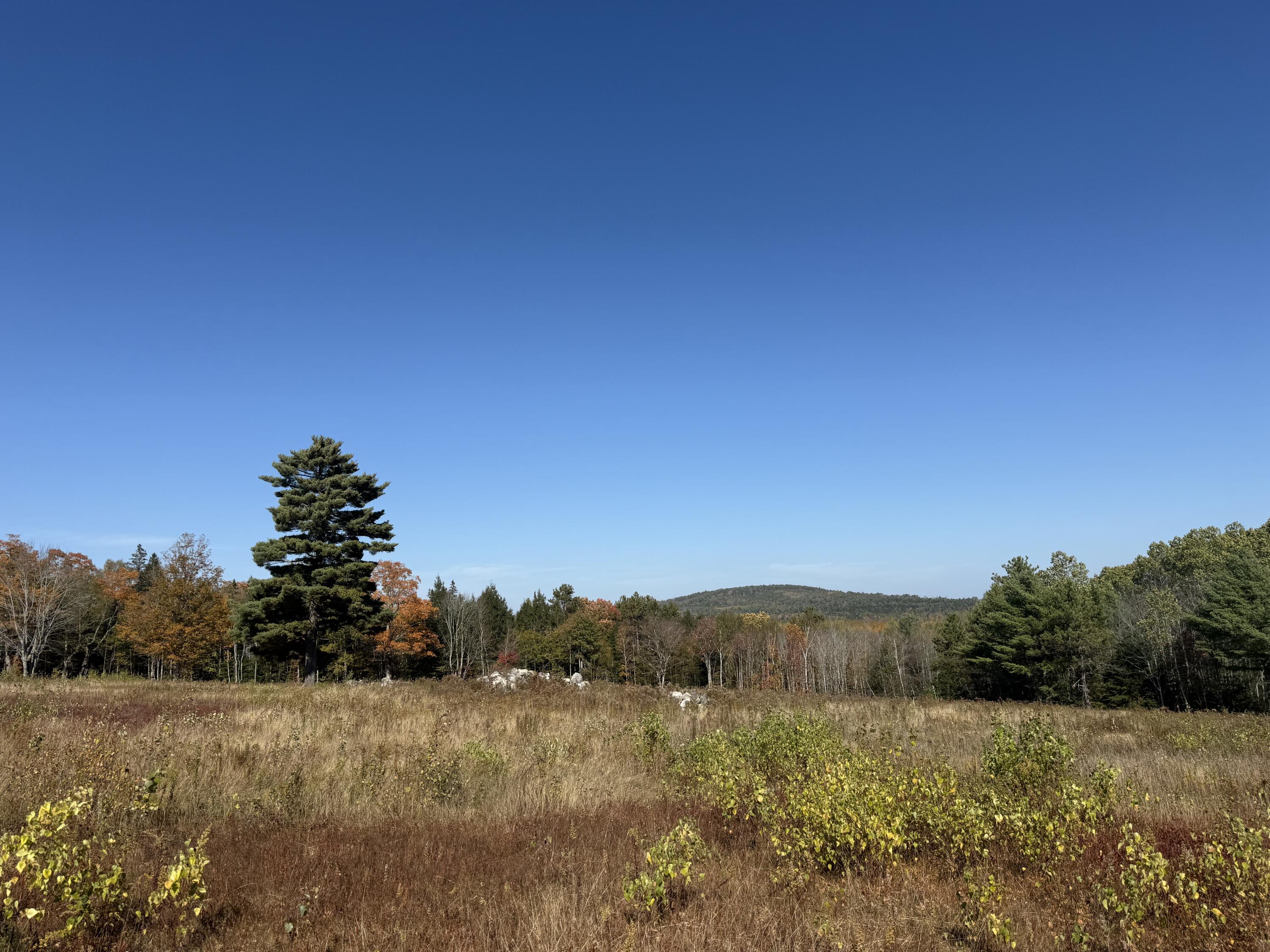014-001 Tourtelotte Ridge Road Mariaville ME 04605
