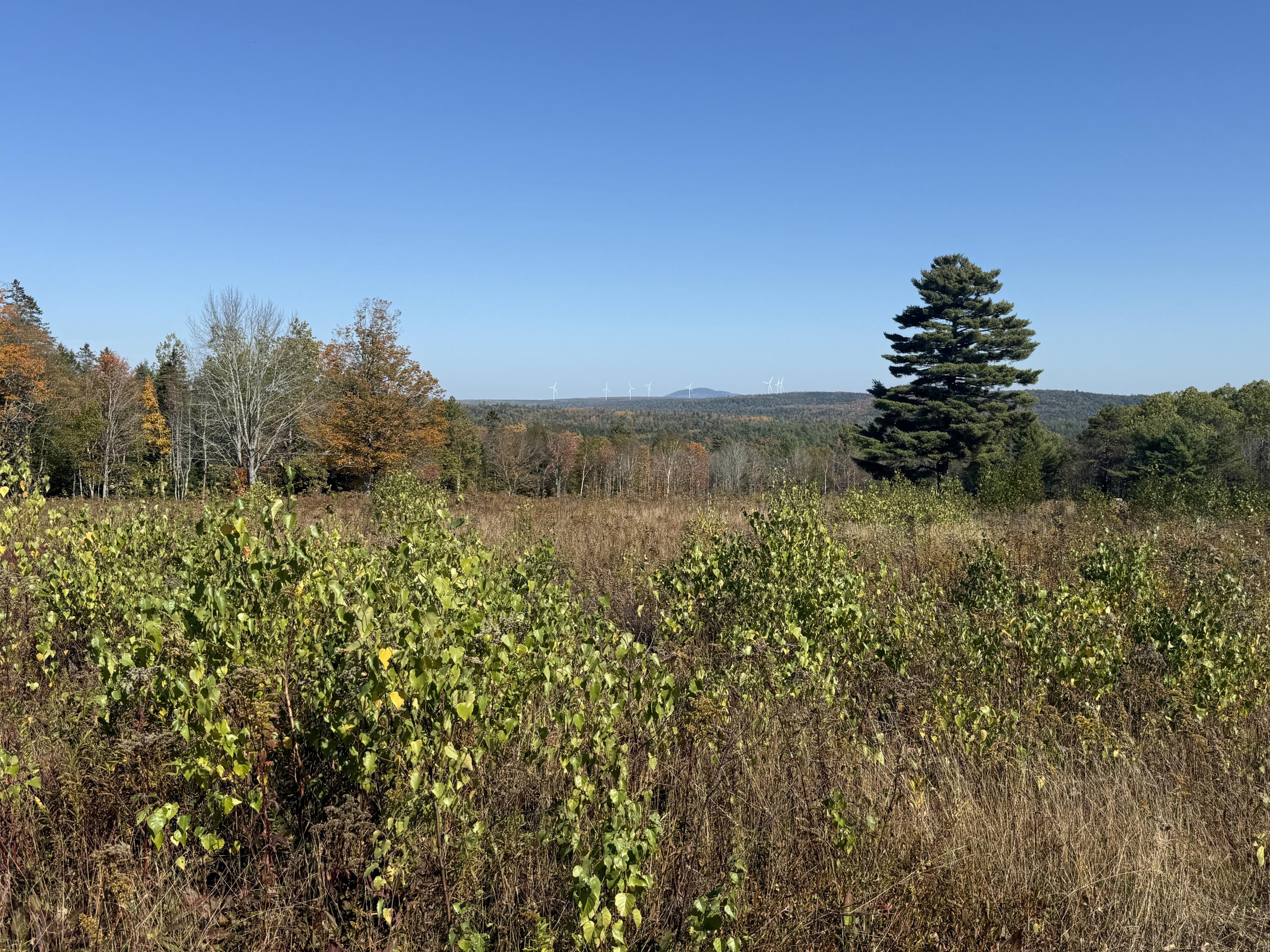 014-001 Tourtelotte Ridge Road Mariaville ME 04605