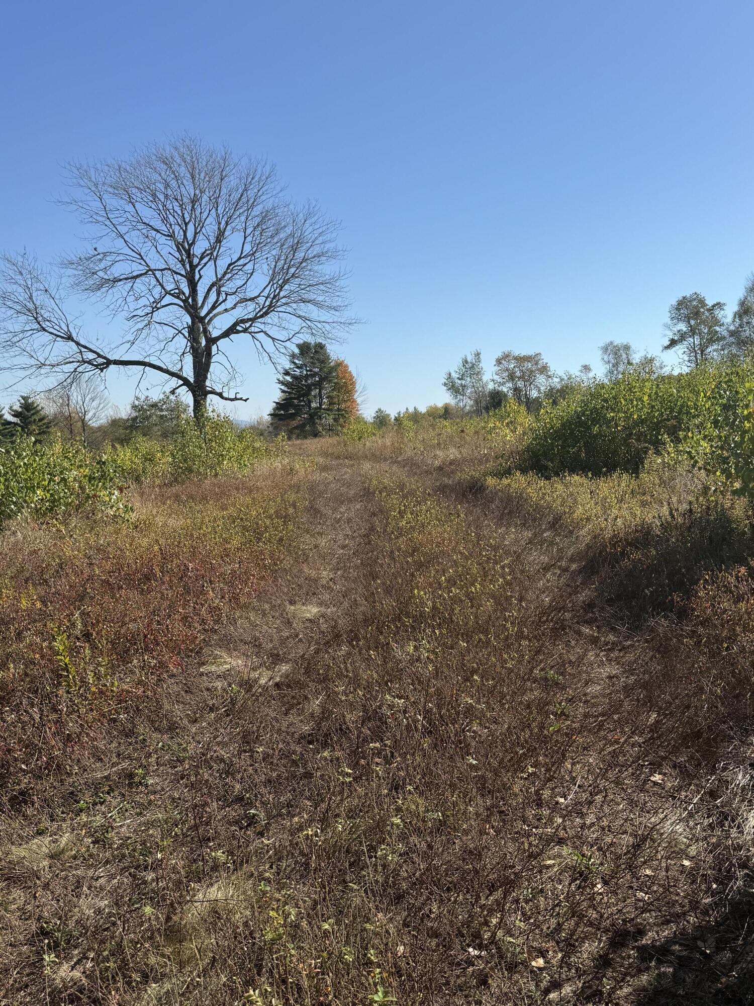014-001 Tourtelotte Ridge Road Mariaville ME 04605