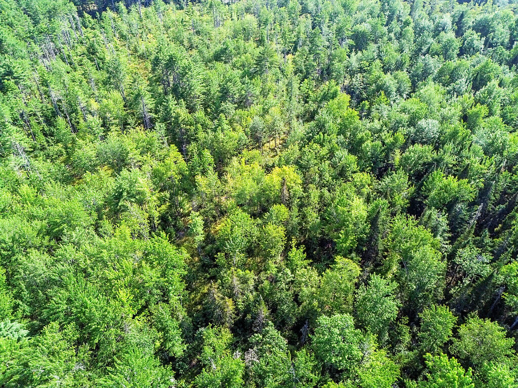 Tbd Bartlett Road Belgrade ME 04917