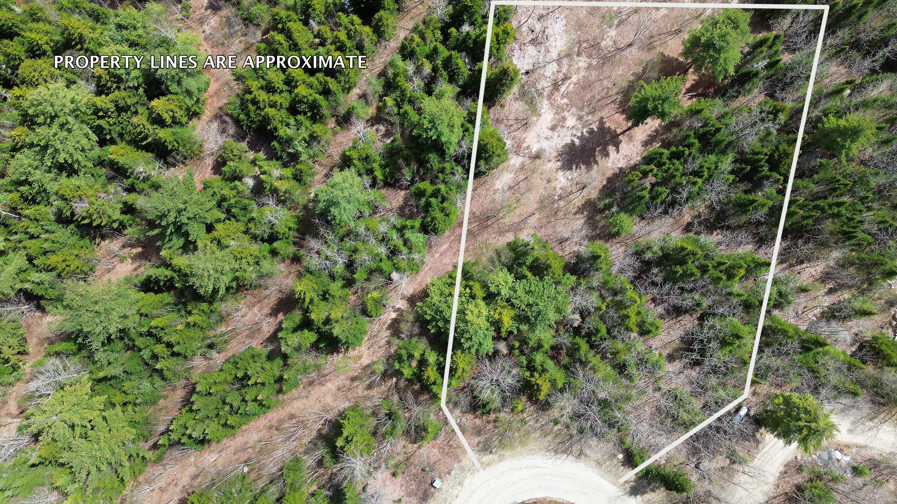 Lot 9 Bailey Mountain Road Franklin ME 04634