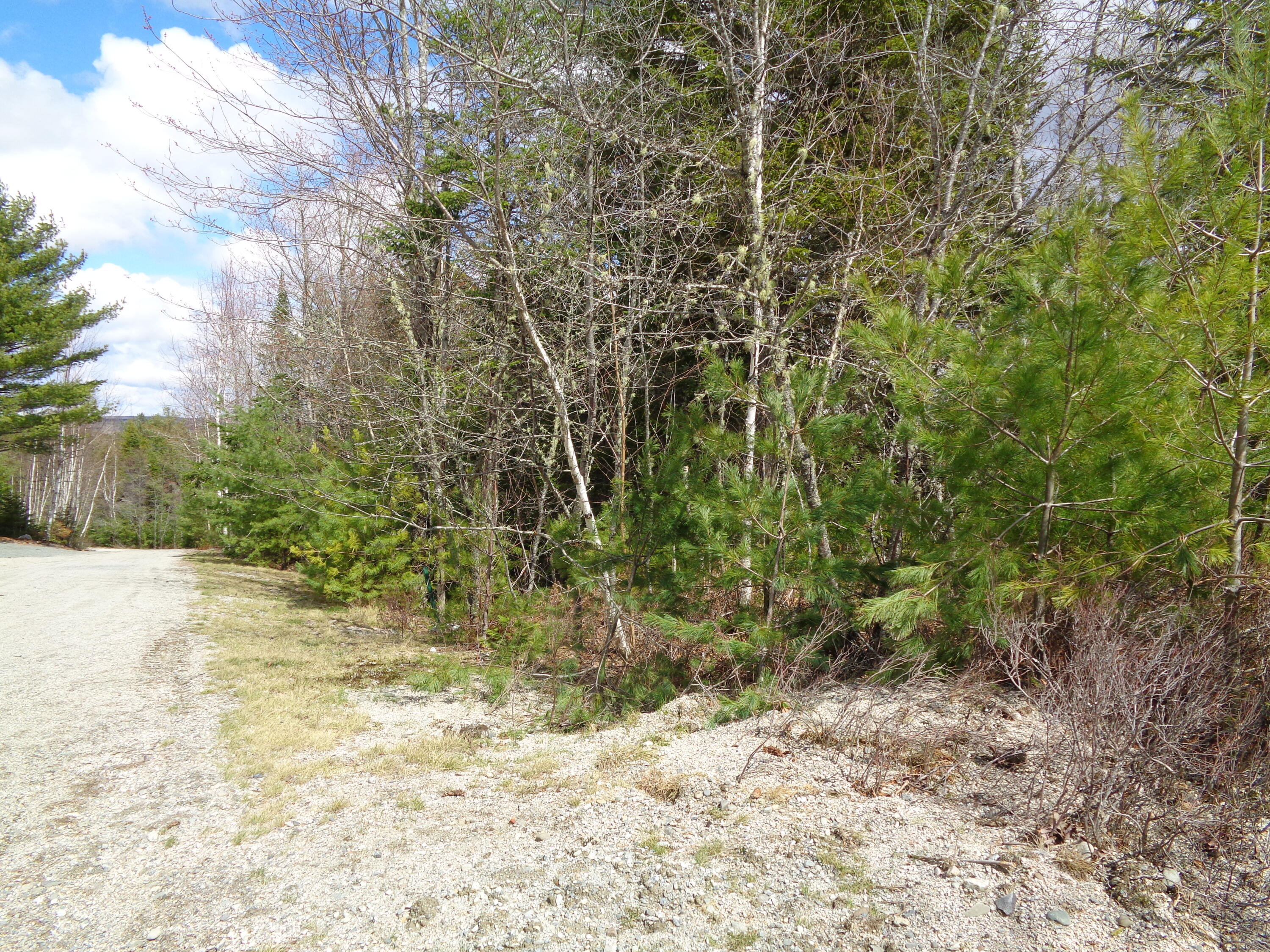 Lot 9 Bailey Mountain Road Franklin ME 04634