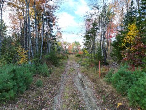 Off Basford Road Detroit ME 04929