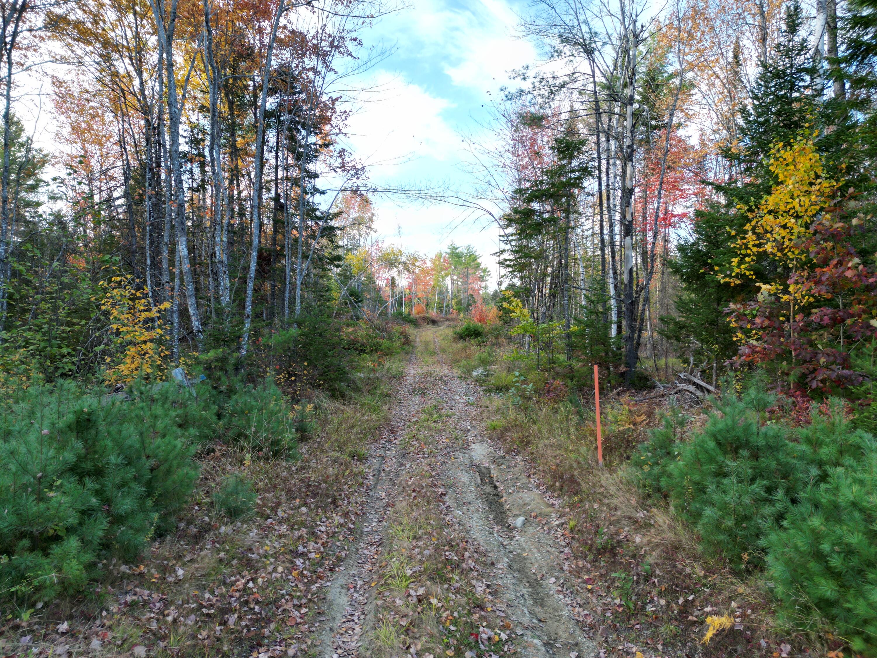 Off Basford Road Detroit ME 04929