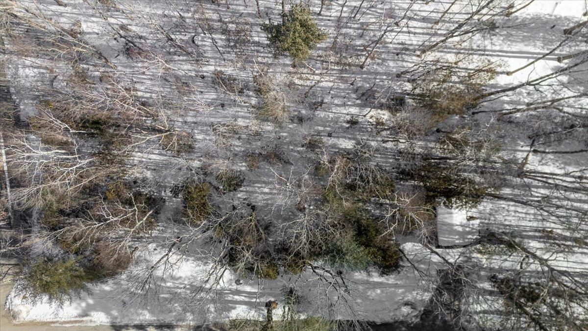 8 Colorado Avenue Camden ME 04843