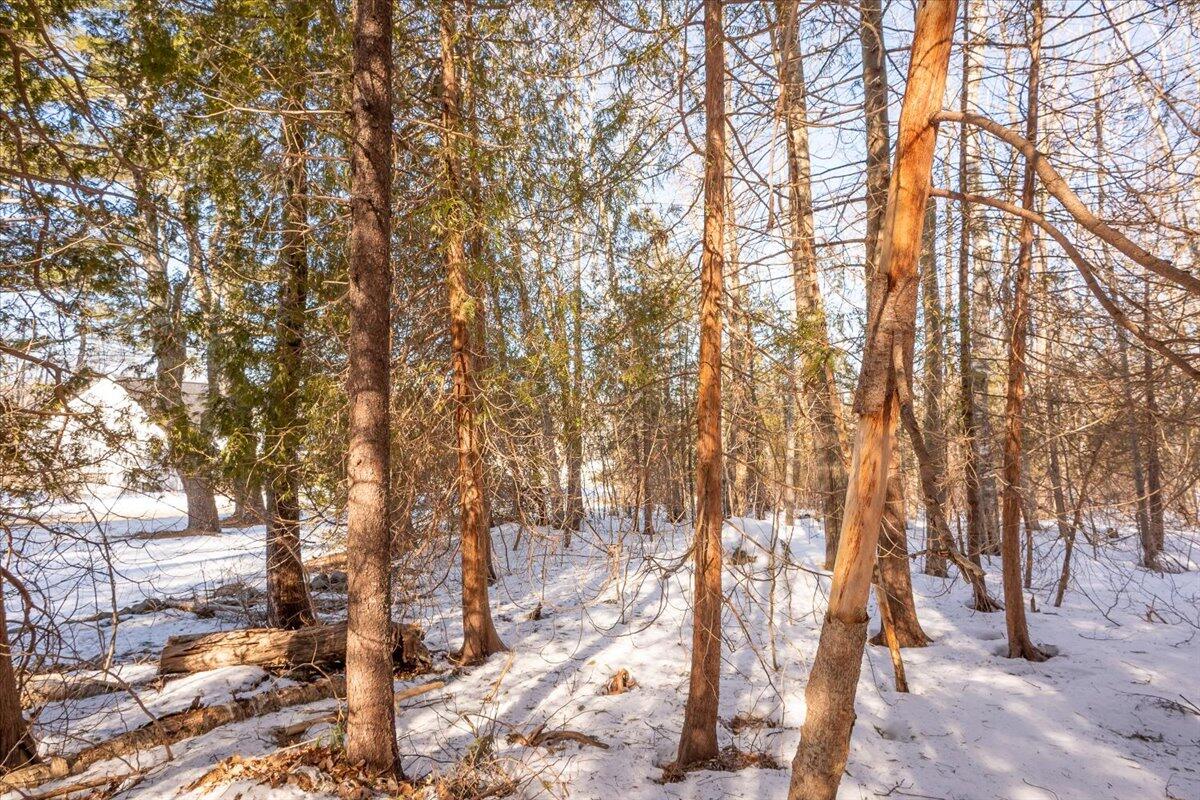 8 Colorado Avenue Camden ME 04843