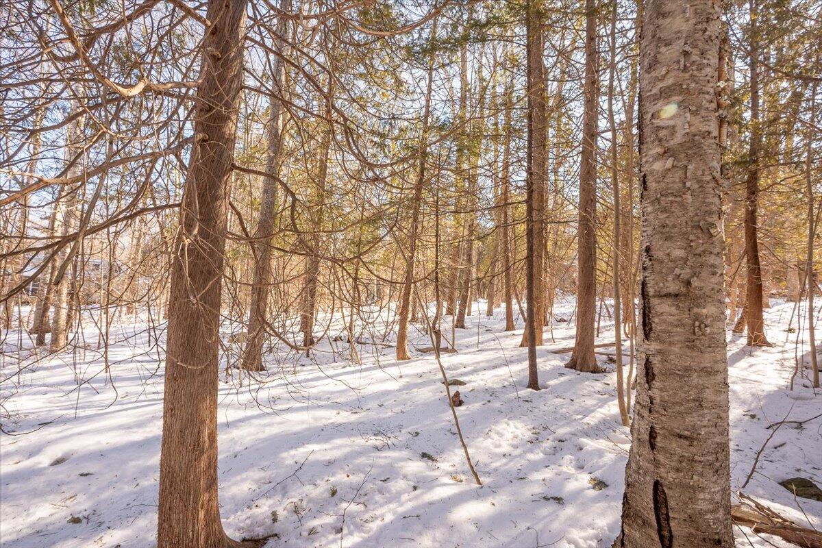 8 Colorado Avenue Camden ME 04843