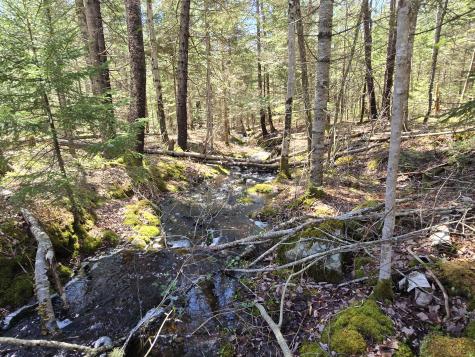 Lot #4 Turkey Cove Road Saint George ME 04860