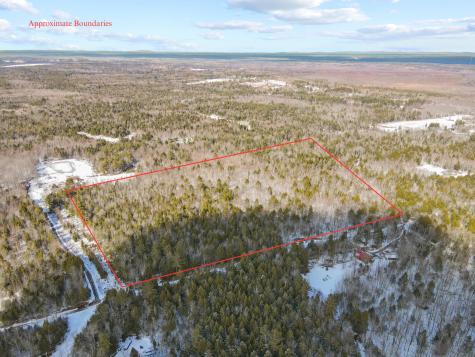 Lot 39 Dolliff Road Alton ME 04468