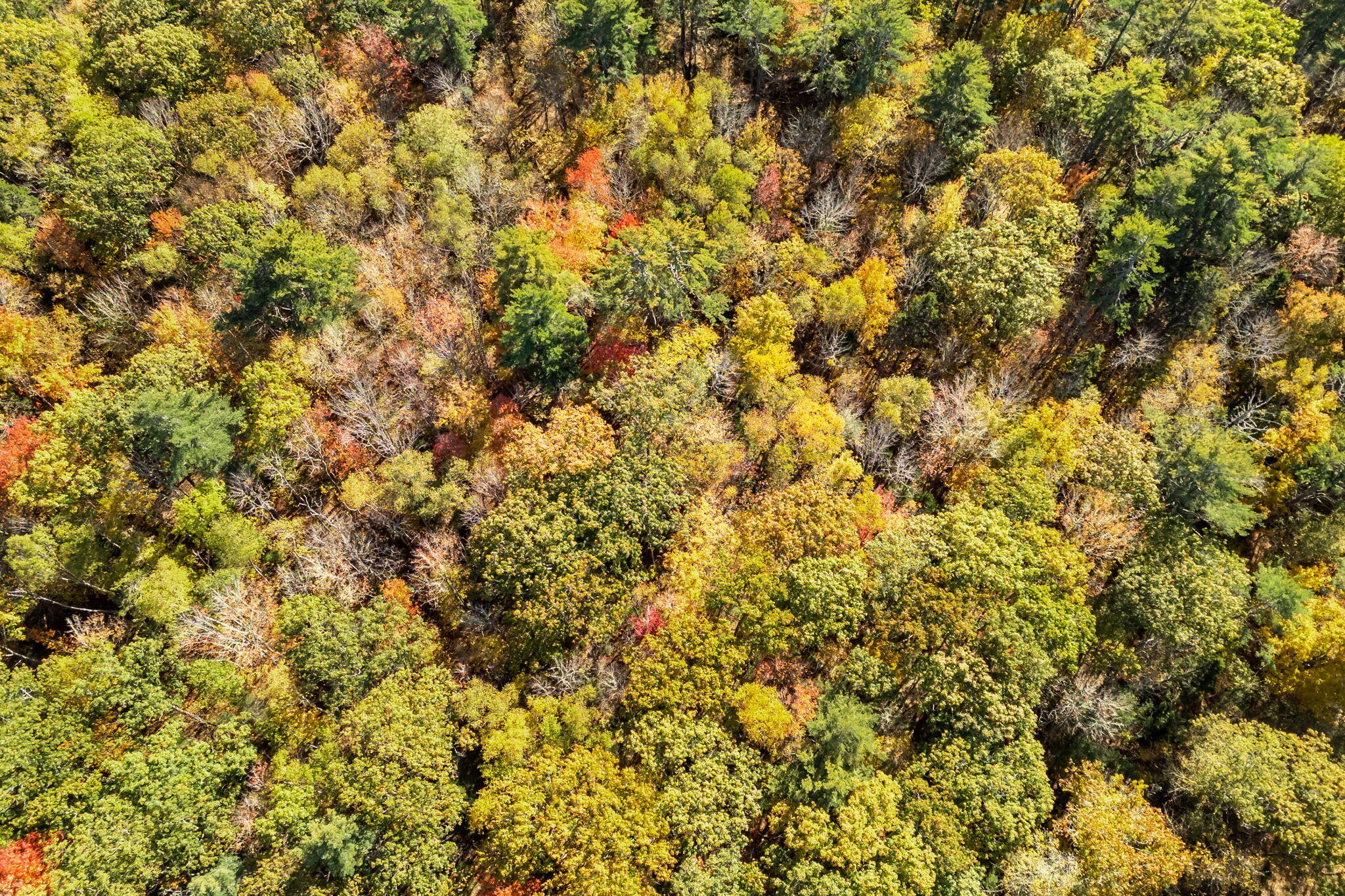 895 Finntown Road Warren ME 04864