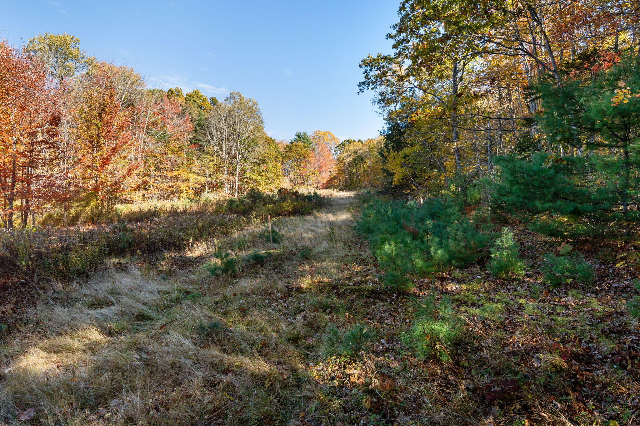 895 Finntown Road Warren ME 04864