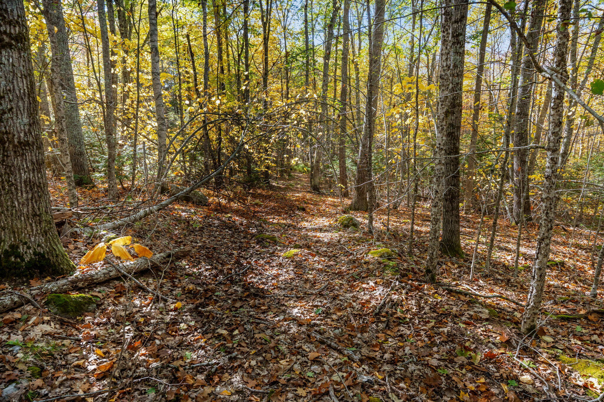 895 Finntown Road Warren ME 04864