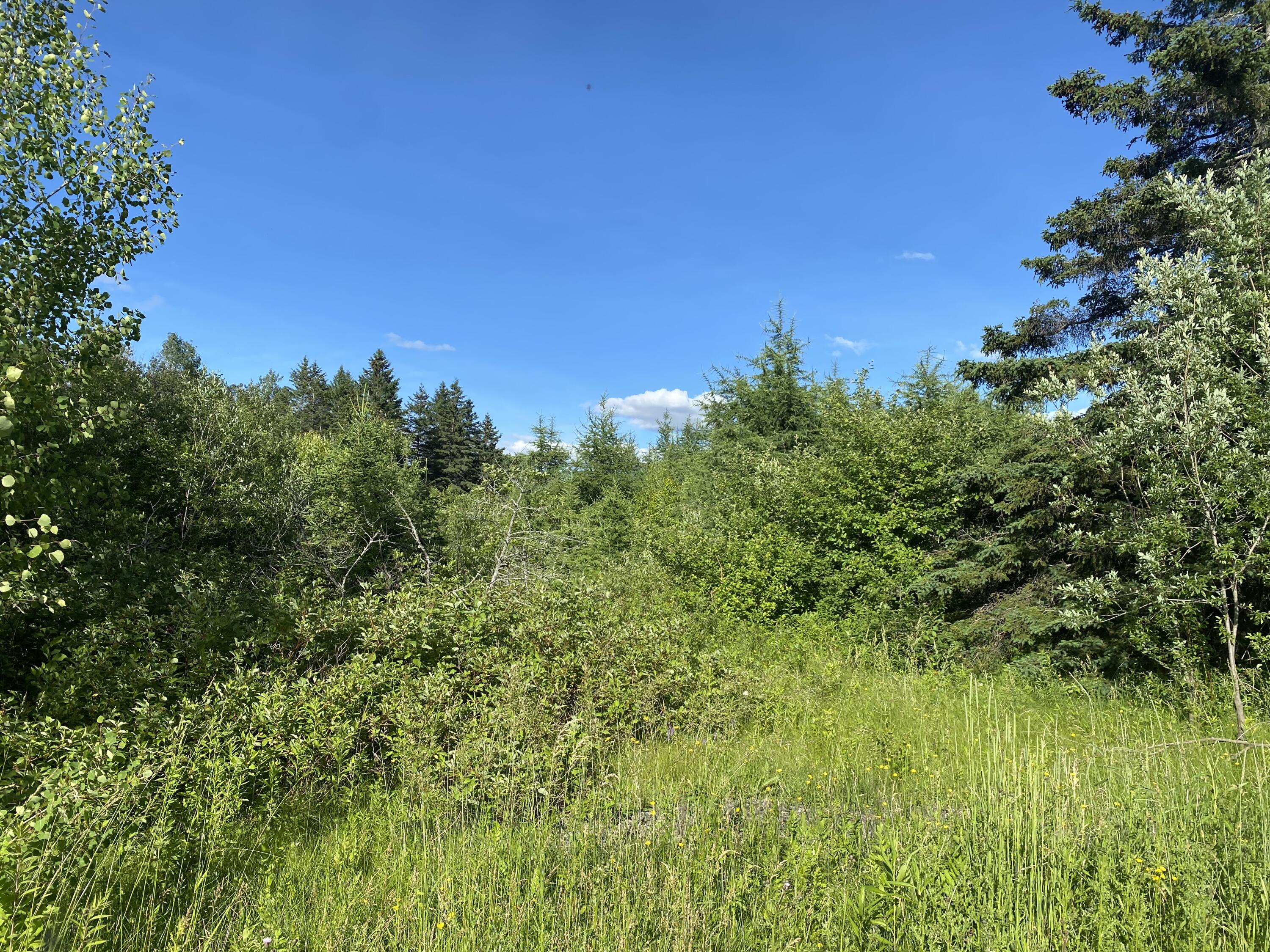 Lot 36d Grimes Road Caribou, ME real estate