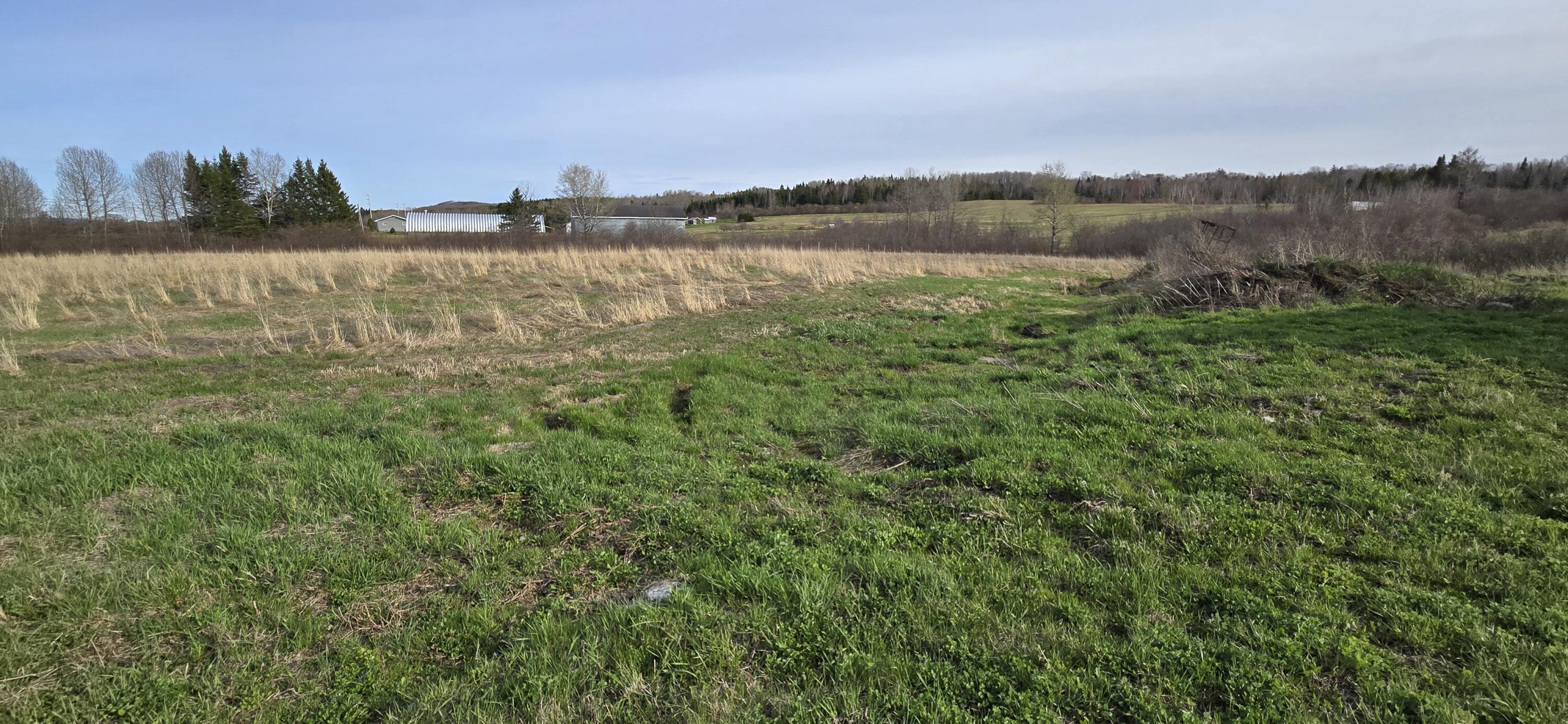 MAP41 Lot8 Grand Isle ME 04746