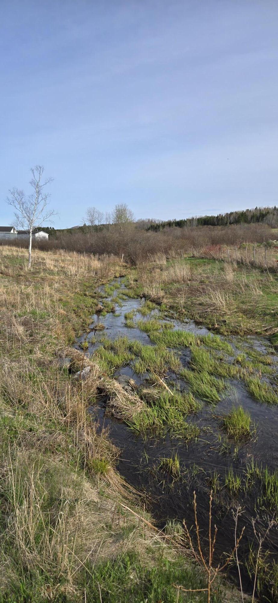 MAP41 Lot8 Grand Isle ME 04746