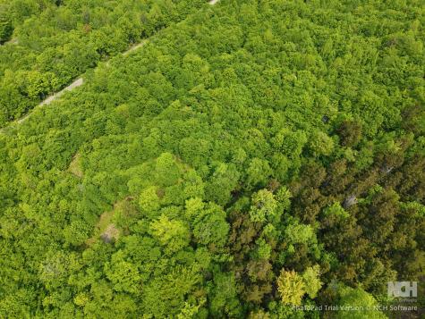 M12l25 2-3 Ira Mountain Road Kingfield ME 04947