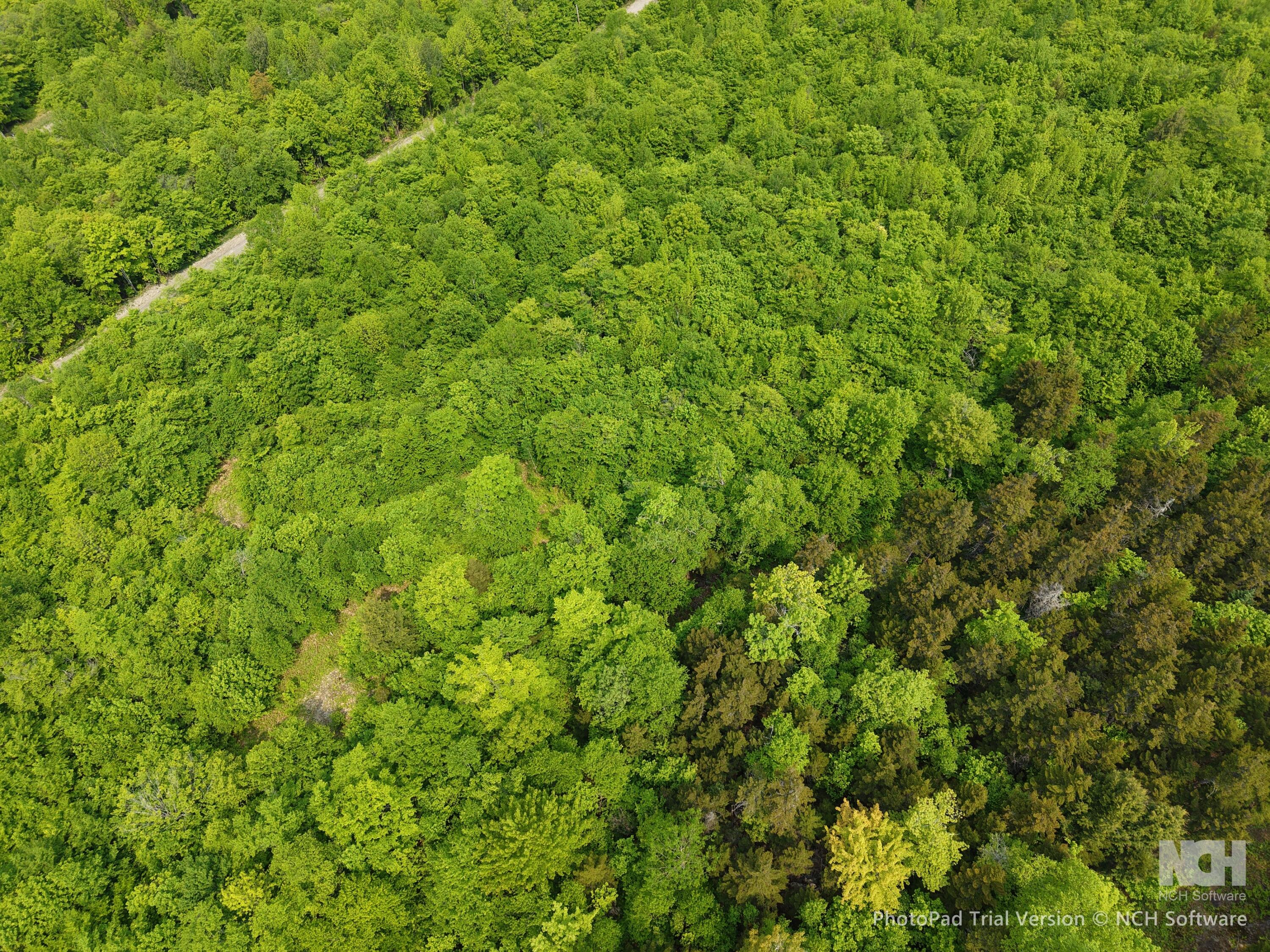 M12l25 2-3 Ira Mountain Road Kingfield ME 04947