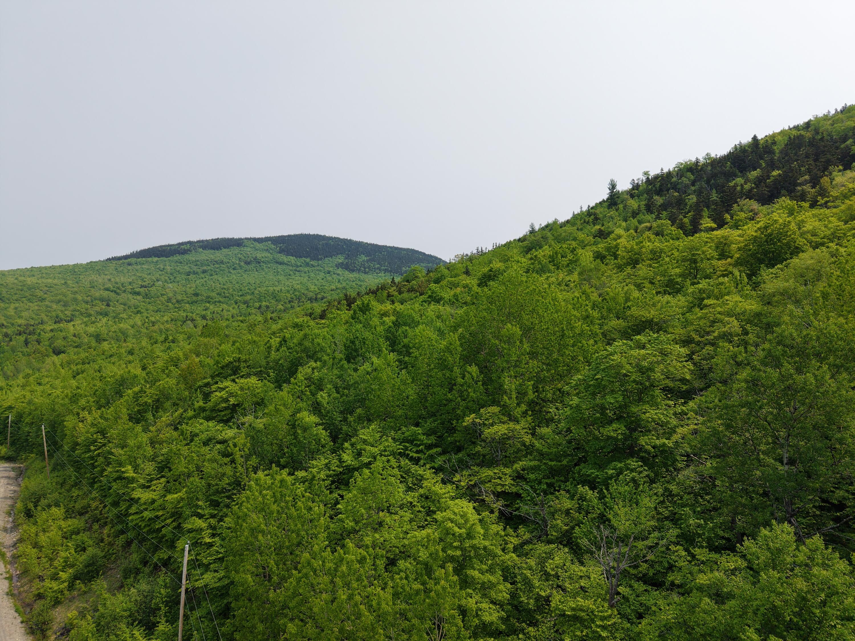 M12l25 2-3 Ira Mountain Road Kingfield ME 04947