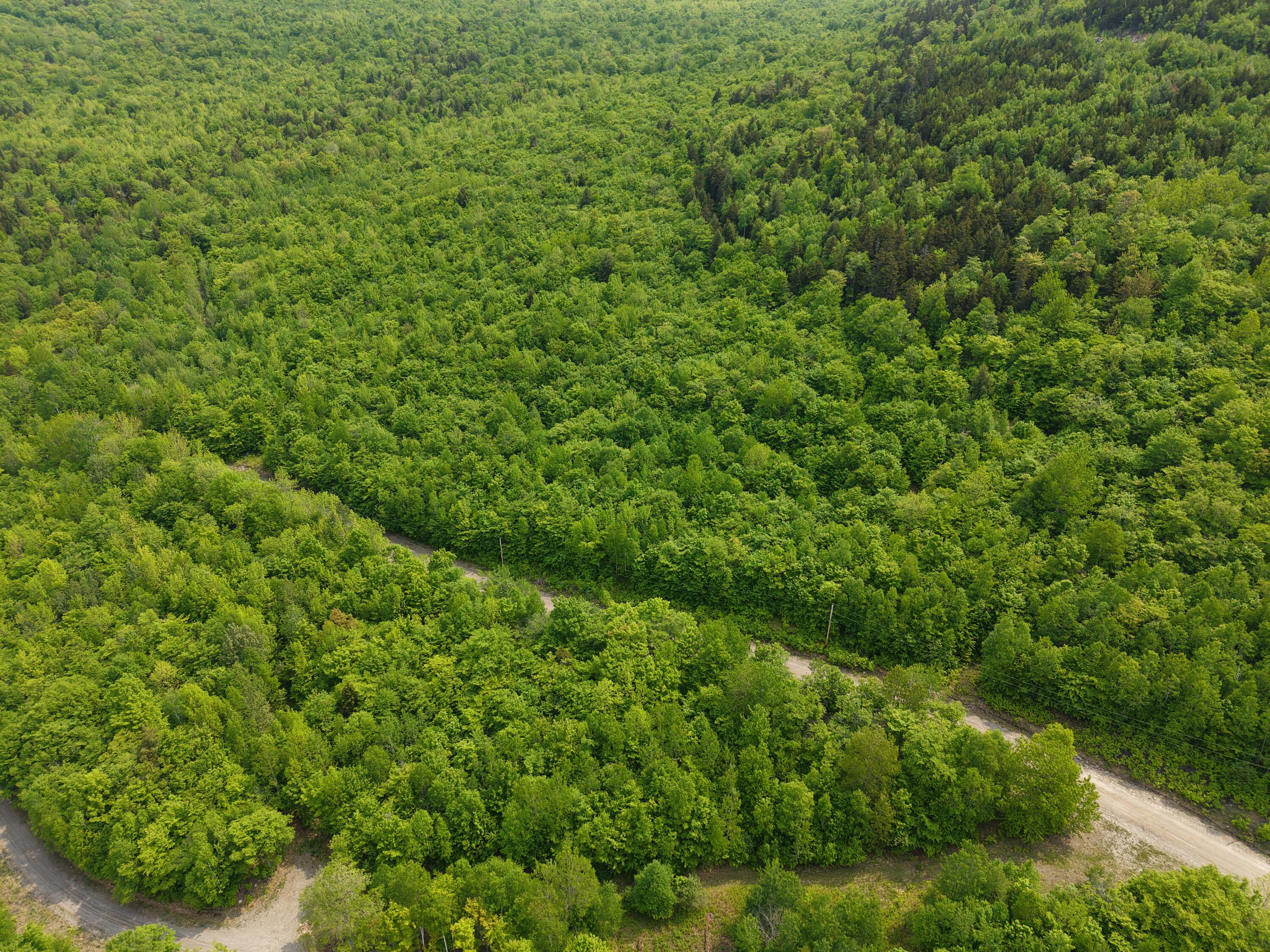 M12l25 2-3 Ira Mountain Road Kingfield ME 04947