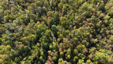 Tbd Woodcock Road Saint Albans ME 04971