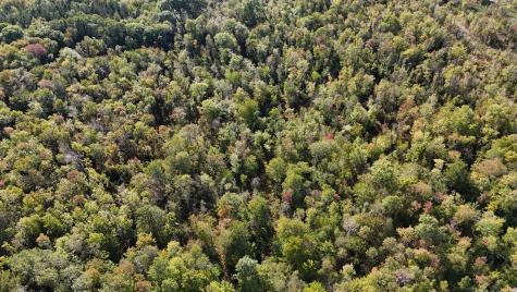 Tbd Woodcock Road Saint Albans ME 04971