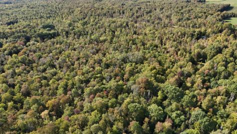 Tbd Woodcock Road Saint Albans ME 04971