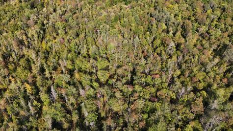 Tbd Woodcock Road Saint Albans ME 04971