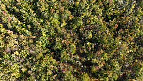 Tbd Woodcock Road Saint Albans ME 04971