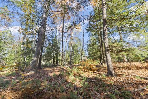 Tbd Branch View Terrace Alfred ME 04002