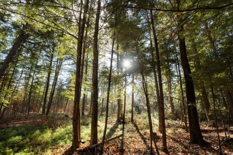 Tbd Branch View Terrace Alfred ME 04002