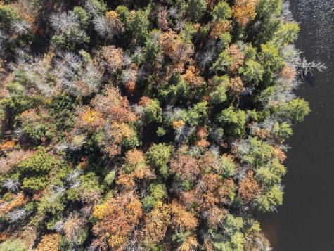 Tbd Branch View Terrace Alfred ME 04002