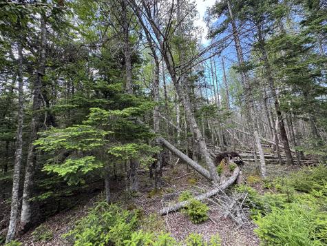 #06-05-0A Nepp Point Road Roque Bluffs ME 04654