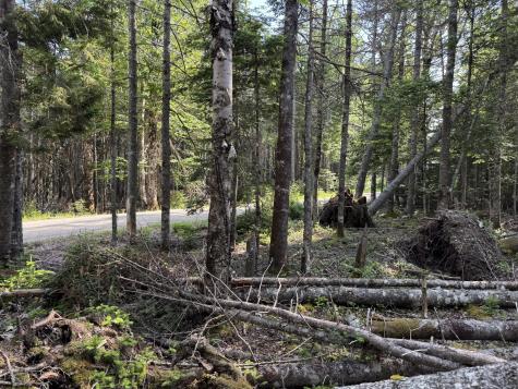 #06-05-0A Nepp Point Road Roque Bluffs ME 04654