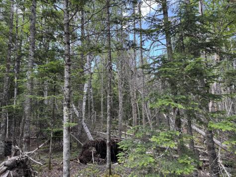 #06-05-0A Nepp Point Road Roque Bluffs ME 04654