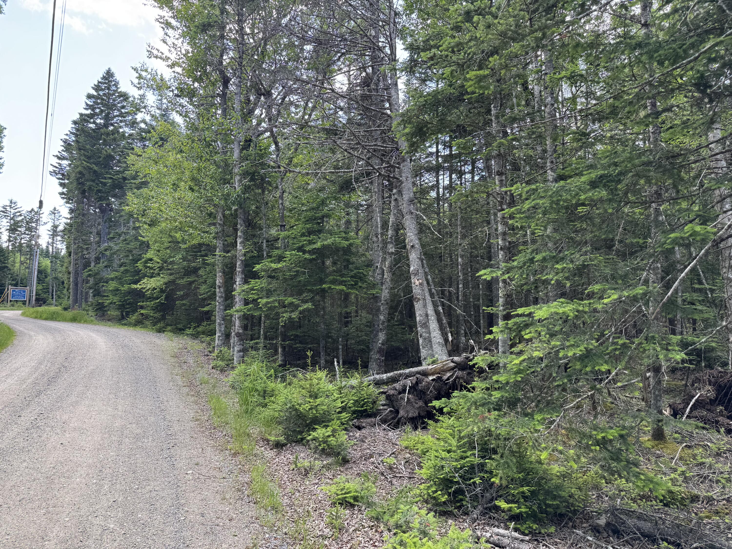 #06-05-0A Nepp Point Road Roque Bluffs ME 04654