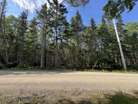 #06-05-0A Nepp Point Road Roque Bluffs ME 04654