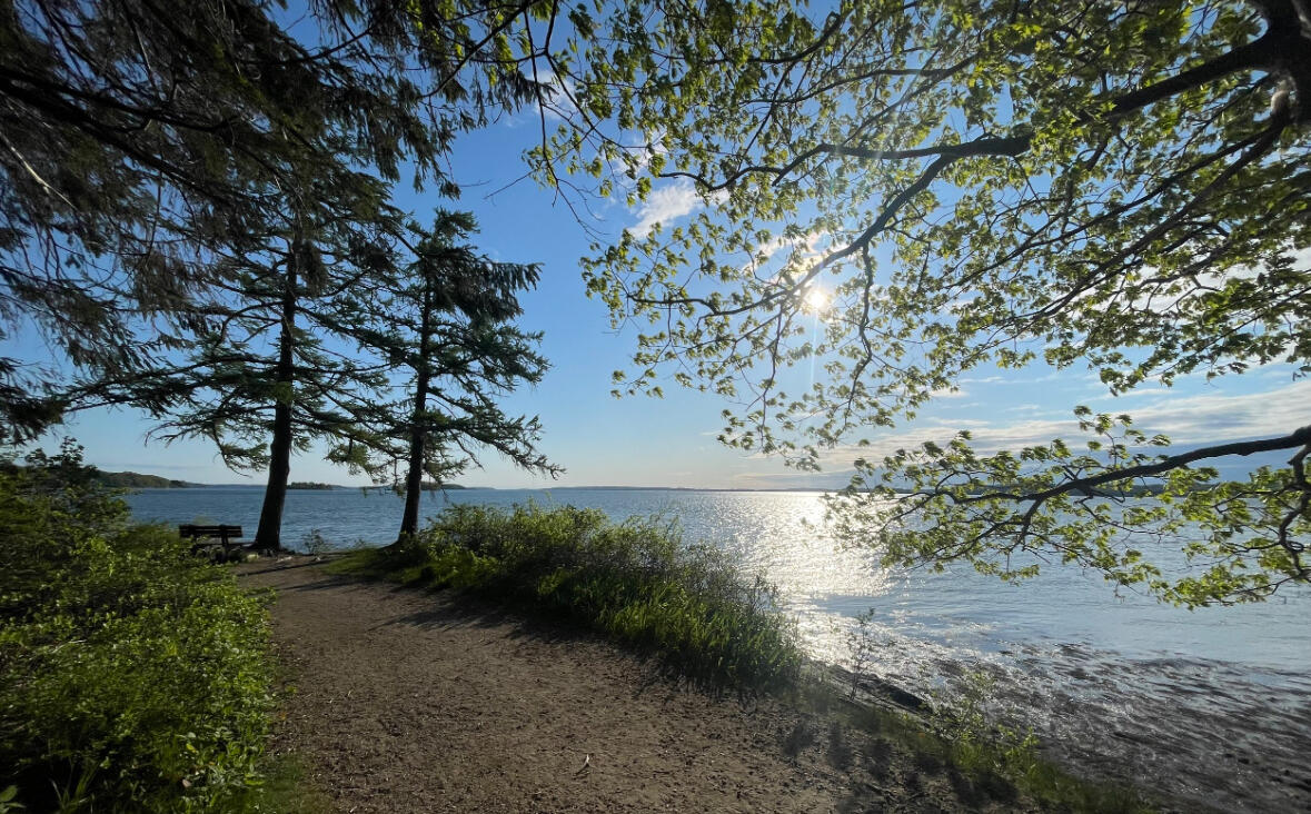 9-11 Bismark Street Portland ME 04103