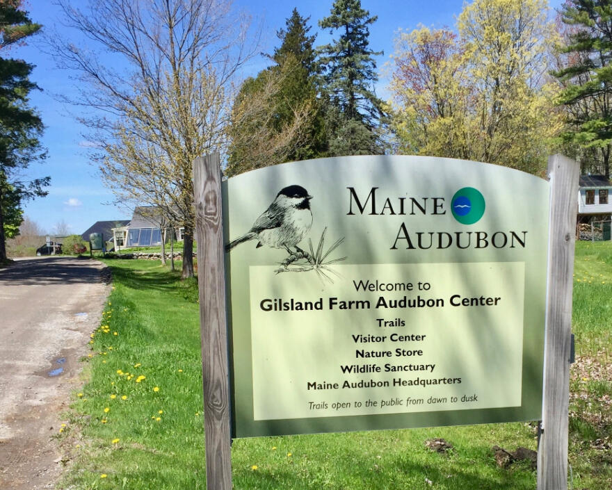 9-11 Bismark Street Portland ME 04103